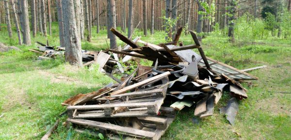 Debris Removal Service in Bothell